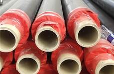 PE-RTⅡ型熱力管新型管材在熱力工程中的應(yīng)用